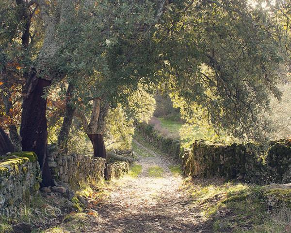 Villa Sierra De Gata Santibanez el Alto Dış mekan fotoğraf