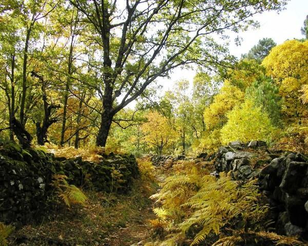 Villa Sierra De Gata Santibanez el Alto Dış mekan fotoğraf